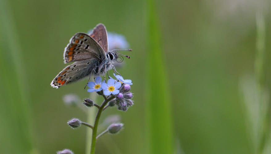 2016 06 01 13 23 38 v1