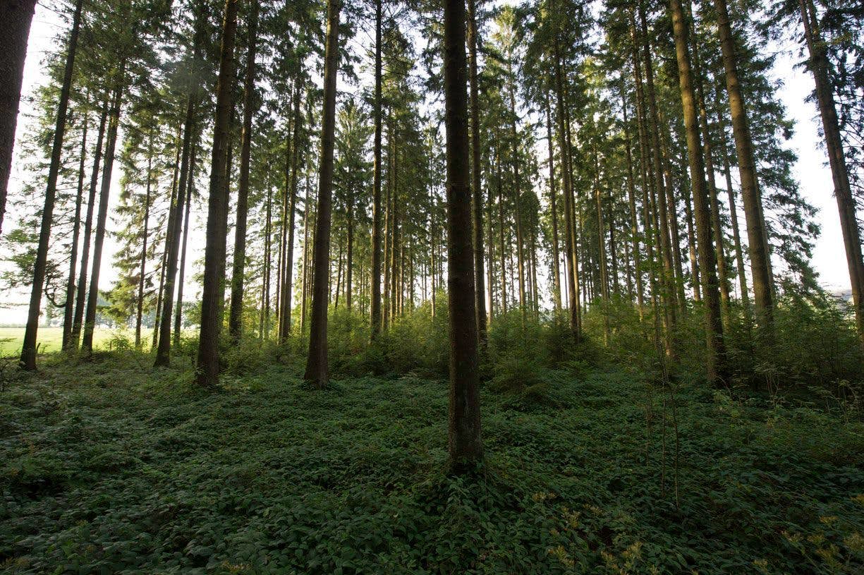 Propriétés privées 2