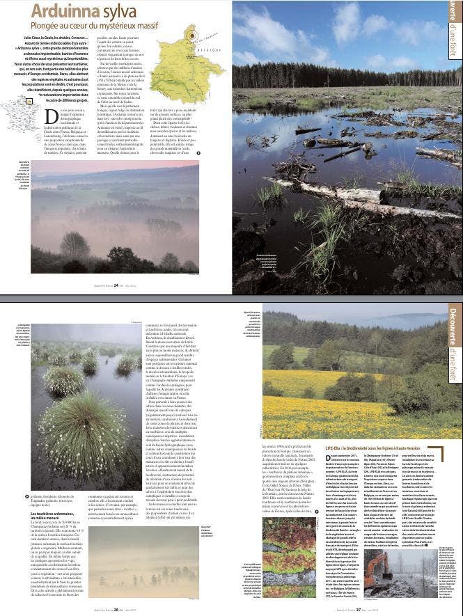 1206 NEF02 Massif Ardenne