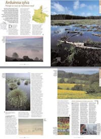 1206 NEF02 Massif Ardenne