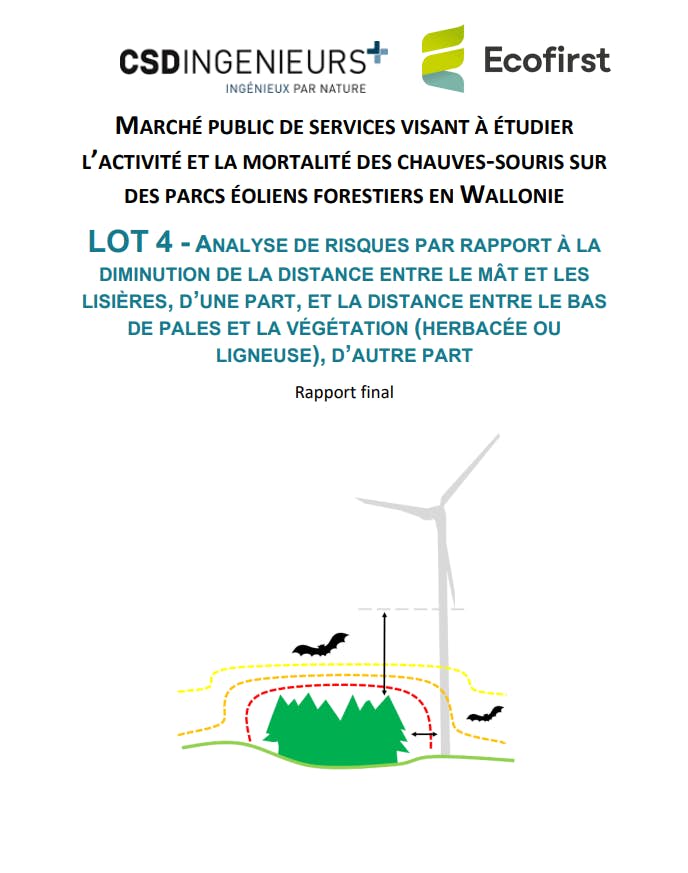 Analyse risques CS Lot 4