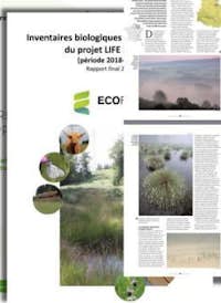 Banner publi general