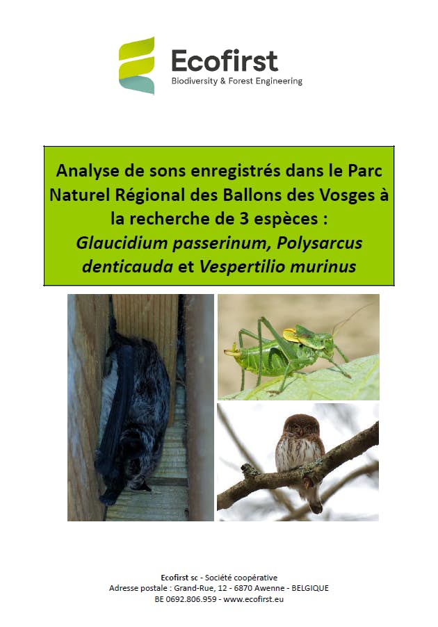 Couverture Rapport PNBV