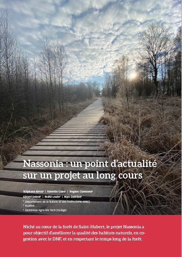 Foret Nature159 Nassonia