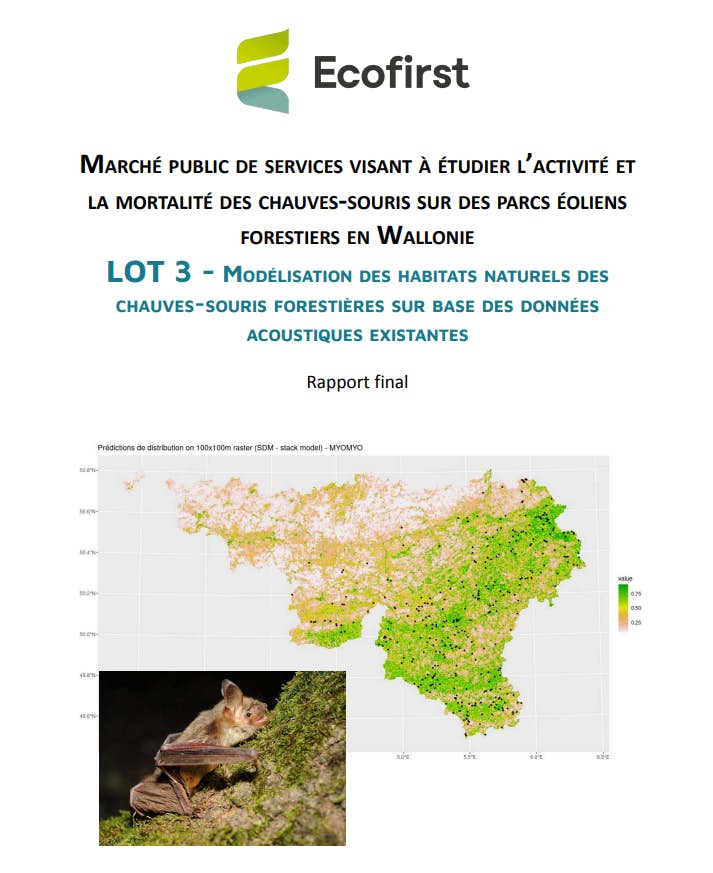 Lot 3 Chauves souris