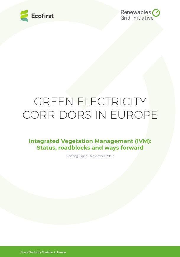 RGI and Ecofirst 2019 Green electricity corridors in Europe Integrated