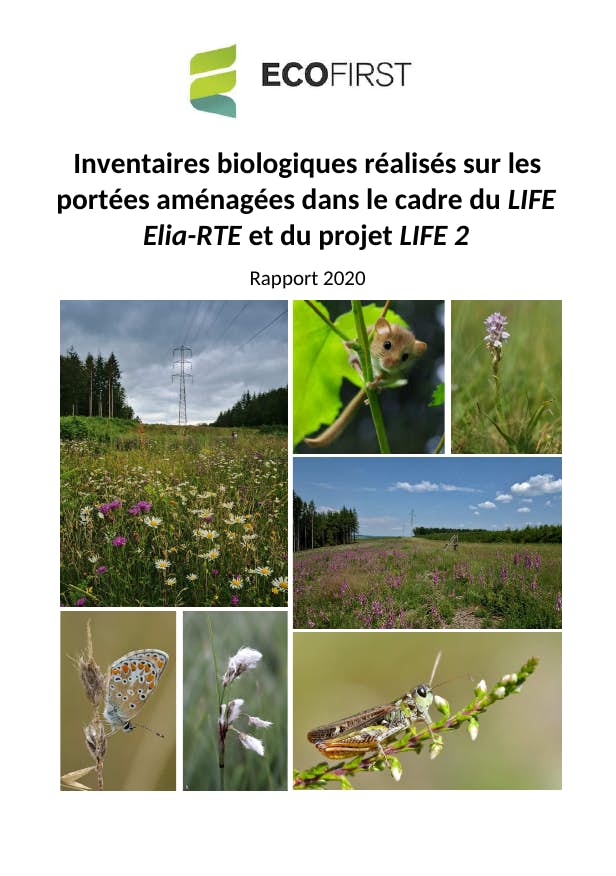 Rapport Monitoring 2020