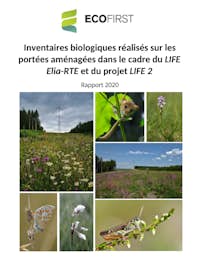 Rapport Monitoring 2020