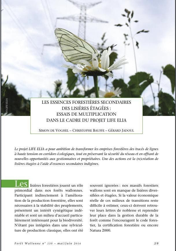 de Voghel et al 2014 Secondary species for forest structured edges