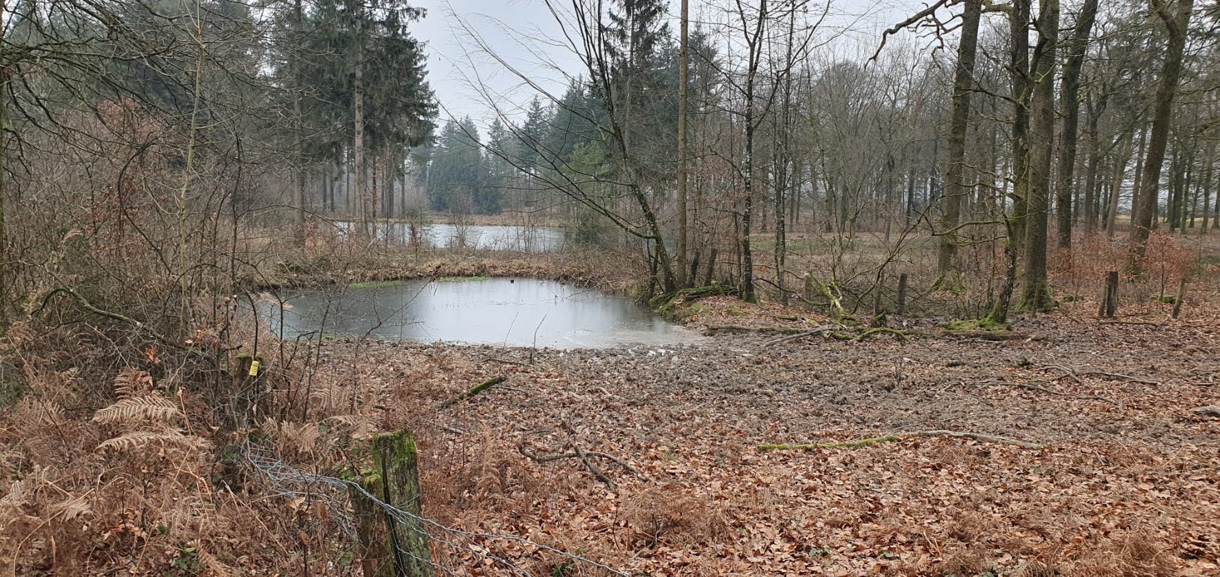 SRBF Ma parcelle en réserve