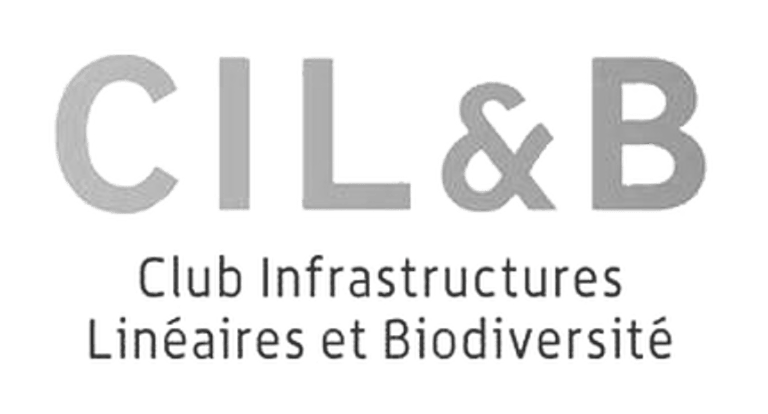Logo CILB