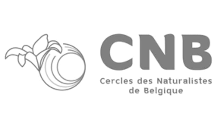 CNB