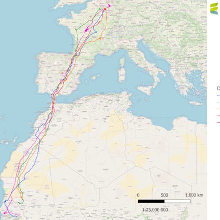 Bst vue ensemble osm