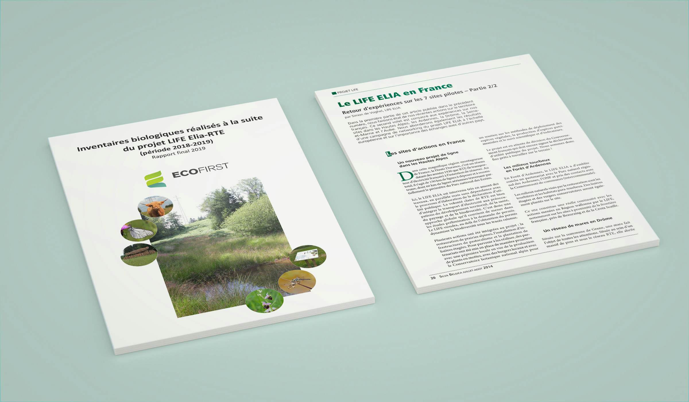 Publications mockup